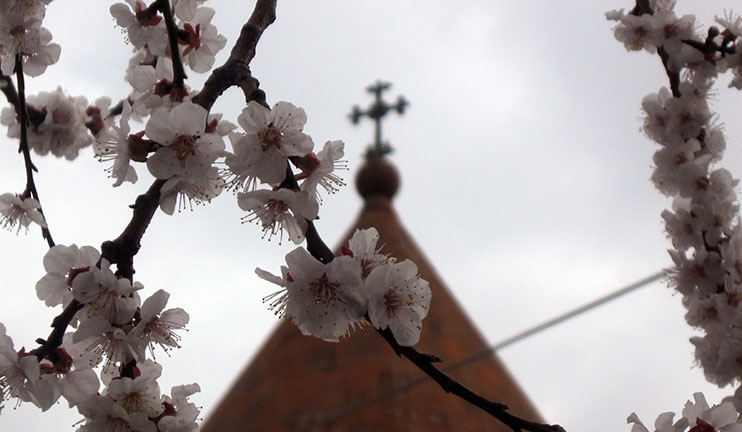 Տոնակատարություն Բամբակաշատի սբ Աստվածածին եկեղեցում