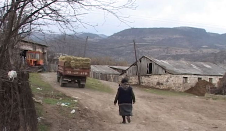 Cattle Breeding Escalates in Some Communities of Tavush Region