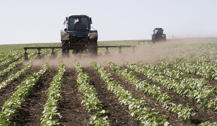 Approaching spring the government will provide assistance to rural households