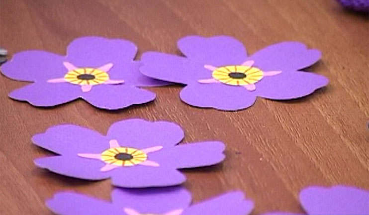 The pupils will prepare forget-me-nots the symbol of the 100th anniversary of Armenian Genocide