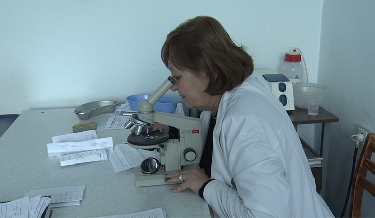 The Minister of Health visited the hospitals of Armavir Region