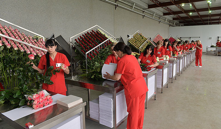 Նախագահն այցելել է Կոտայքի մարզի ջերմոցային տնտեսություններ