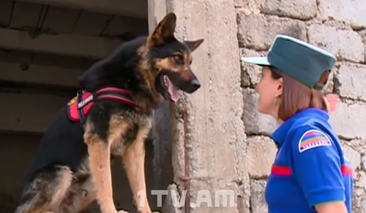 Dog named Jacky gets the title of rescuer of Emergency Situations Ministry