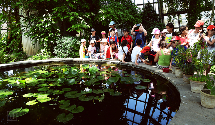 Երեւանի Բուսաբանական այգու 10 բացառիկ բույսերը