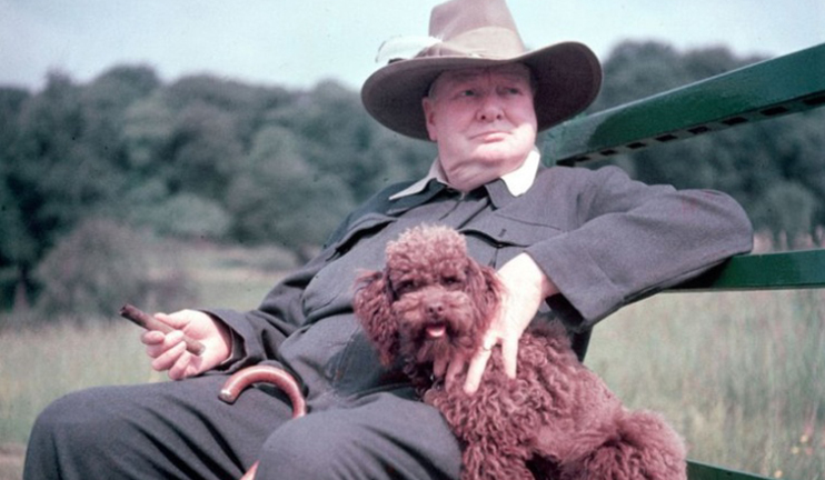 Մի ֆոտոյի պատմություն. հայացք ներսից