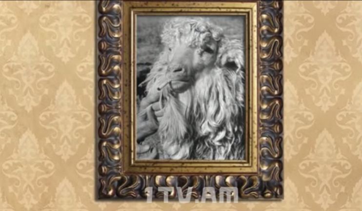 Մի ֆոտոյի պատմություն. վնասակար սովորություն