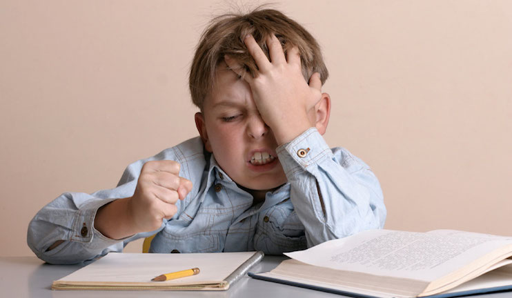 An expert comes up against summer tasks