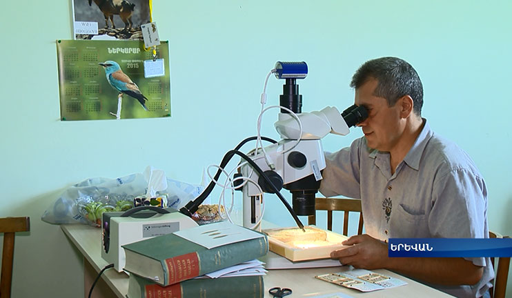 The Armenian-German expedition examines the fossilized animals and plants of Armenia