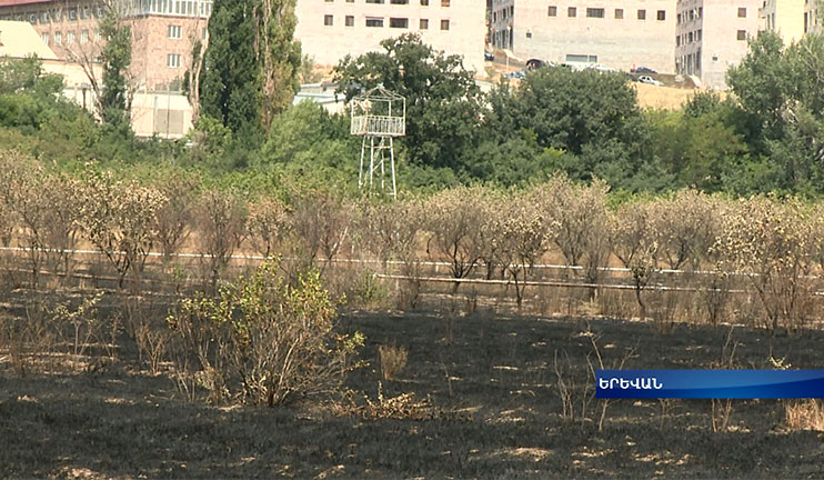 Բուսաբանական այգում դեռ ծխացող հատվածներ կան