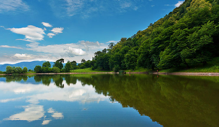 Ծրագիր, որը կլուծի Դսեղի սոցիալական խնդիրը