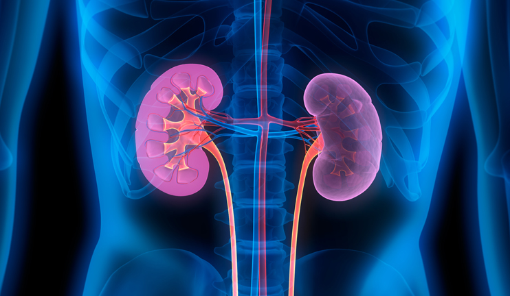 Առողջ առավոտ. երիկամաքարային հիվանդություններ