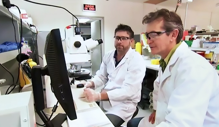 Առողջ առավոտ. դենսիտոմետրիա