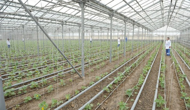 How to Make a Right Business Plan and Start a New Business