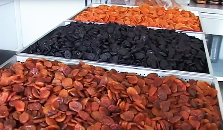 Հայ գյուտարարներն առաջարկում են արևային չորանոցներ չրերի արտադրության համար