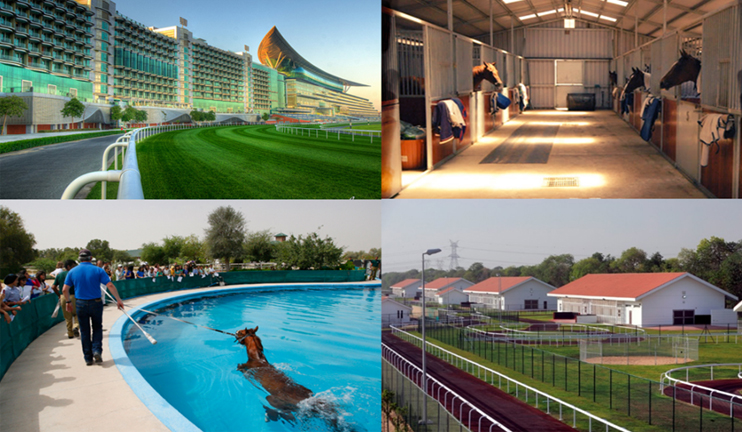 Խոսող կոթողներ. Դուբայի Մեյդան ձիարշավարան