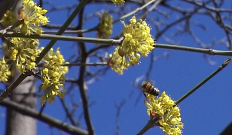 High time to widen the beehives