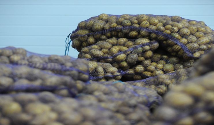 Ի՞նչ նոր հնարավորություններ կընձեռի հոլանդական  ընկերությունը հայ գյուղատնտեսներին