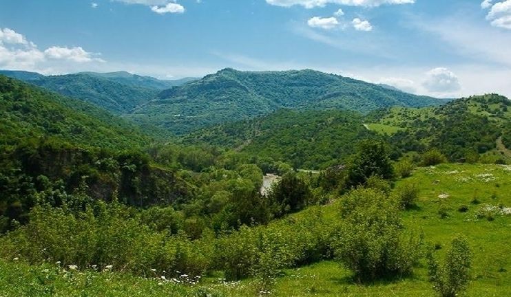 Livestock sector development program in Tavush