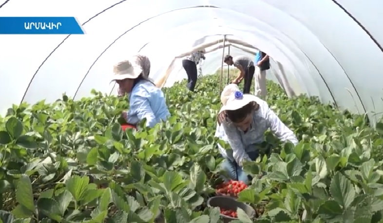 Ճամփեզրի առևտուրը վթարային իրավիճակներ ու անհավասար մրցակցություն է ստեղծում