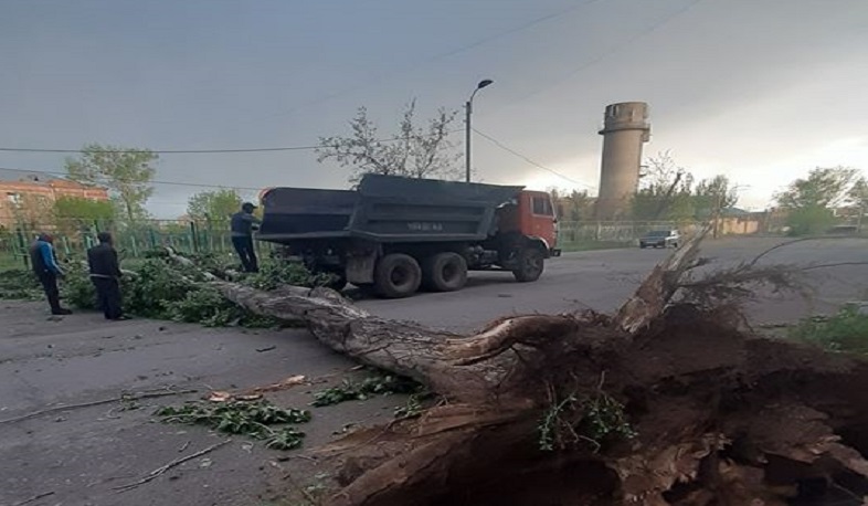The windstorm caused great damage to the communities of Shirak region. governor