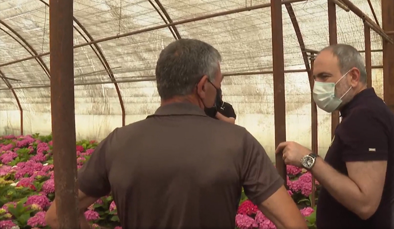 Վարչապետը Արարատի մարզում այցելել է ծաղիկների ջերմոց