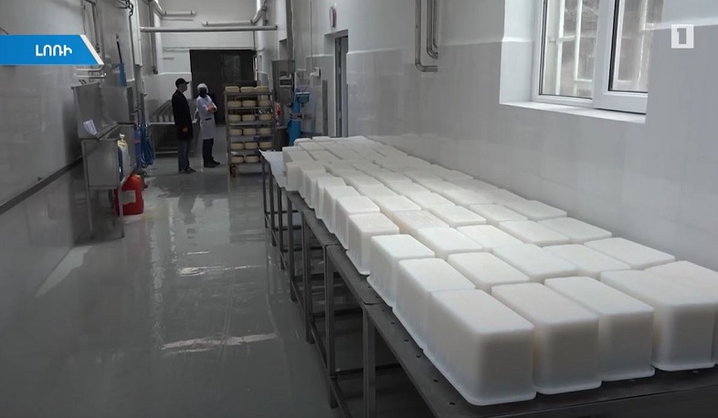 Լոռիում շվեյցարական պանրի արտադրության դարավոր պատմությունը