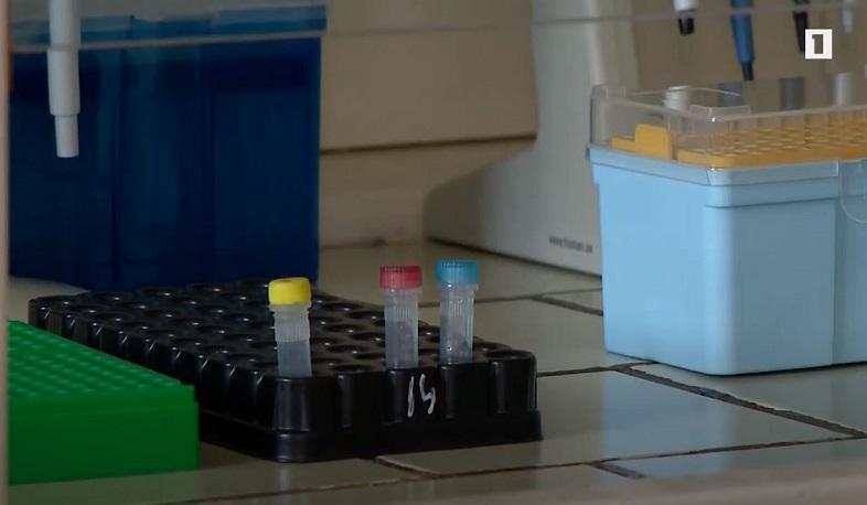 Ինչո՞վ է պայմանավորված կորոնավիրուսով վարակվածների թվի աճը