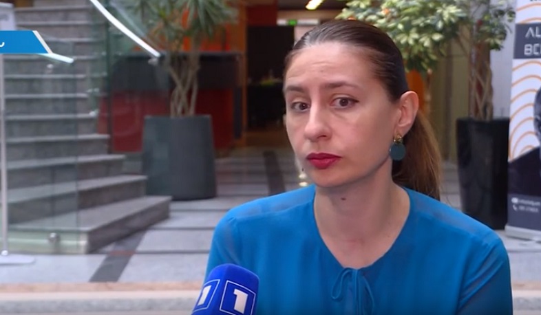 Հարցեր էին, որոնց պատասխանները կարելի է գտնել ՄԻԵԴ-ի հրապարակած ստանդարտ ուղեցույցներում. Լուսինե Հակոբյան