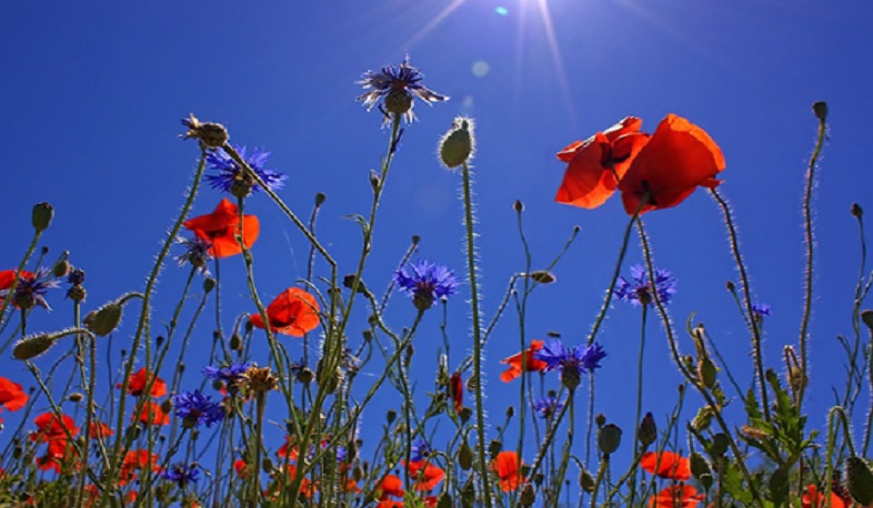 Հայաստանում սպասվում է օդի ջերմաստիճանի բարձրացում՝ 2-4 աստիճանով