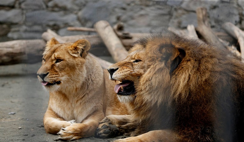 Հունիսի 5-ը Շրջակա միջավայրի համաշխարհային օրն է