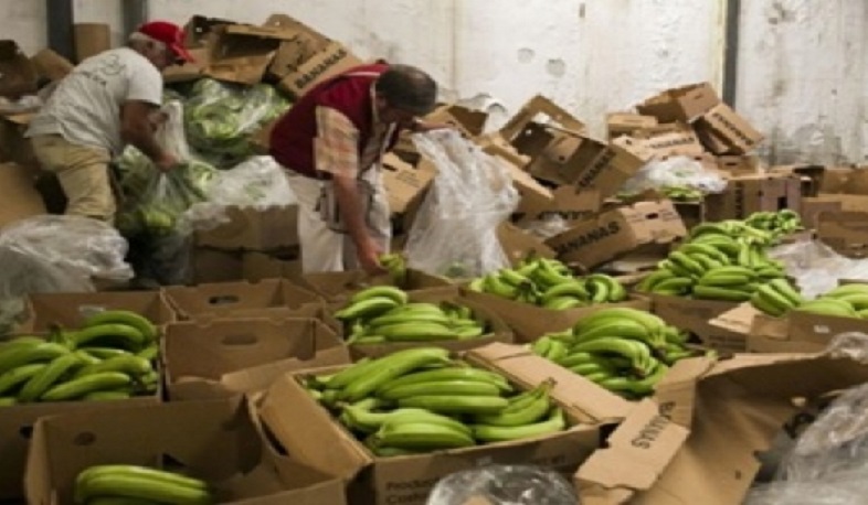 Թմրանյութերը բանանի խմբաքանակում. Reuters