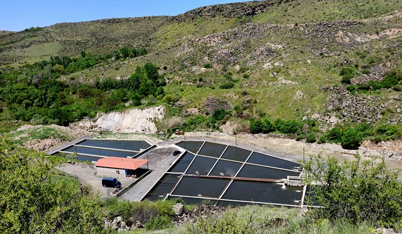 Տեսչական մարմինը Պտղնիում հայտնաբերել է ինքնակամ ձկնաբուծական լճեր