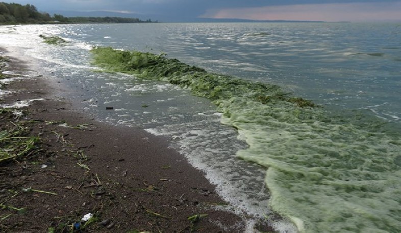 Գեղարքունիքի մարզպետը՝ Սևանի խնդիրների մասին