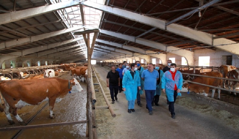 ԱՀ նախագահն այցելել է Նորագյուղի և Խանապատի անասնապահական տոհմային տնտեսություններ