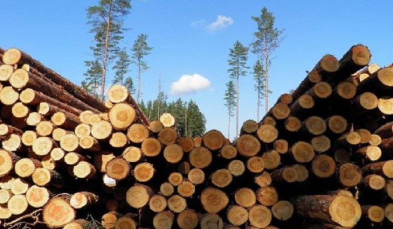 Ոստիկանները Մարց գյուղում ապօրինի փայտանյութով պահեստ են հայտնաբերել