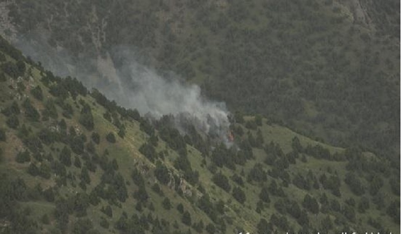 Խոսրովի անտառում բռնկված հրդեհը մեկուսացվել է. ԱԻՆ