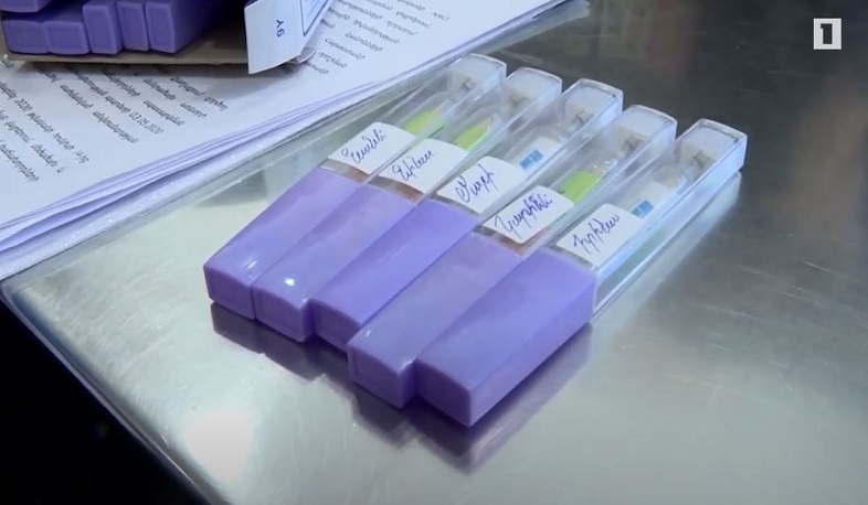 Տնտեսվարողներն առավել բարեխիղճ են դարձել. ԱԱՏՄ մասնագետների գնահատականը