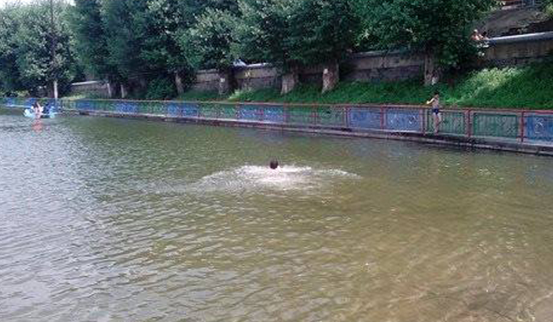 Վանաձորի «Երեք լճեր» կոչվող վայրում դի է հայտնաբերվել