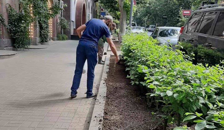 Ապօրինաբար բետոնապատված մայթերը քանդվում են ու փոխարինվում սիզամարգերով