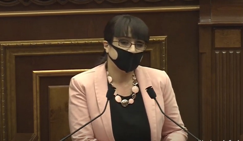 «Իմ քայլի» պատգամավորը հիշեցրեց, թե 2015 թ. հանրաքվեի ժամանակ ինչպես էին իր փոխարեն քվեարկել