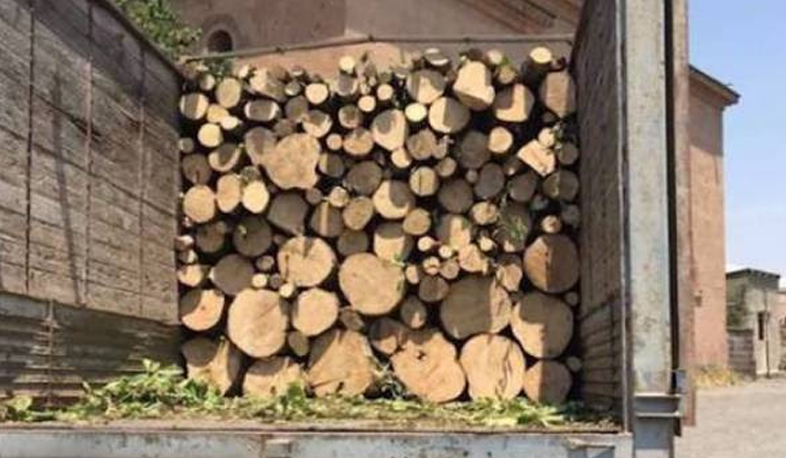 Գուգարքի ոստիկաններն ապօրինի փայտանյութով բեռնատար են հայտնաբերել