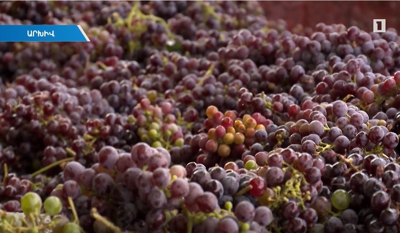 Էկոնոմիկայի նախարարը գինեգործների հետ քննարկել է մթերման խնդիրները