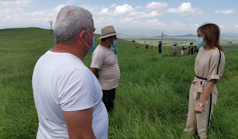 Անտառվերականգնման և անտառի խնամքի ծրագրեր Լոռու մարզում