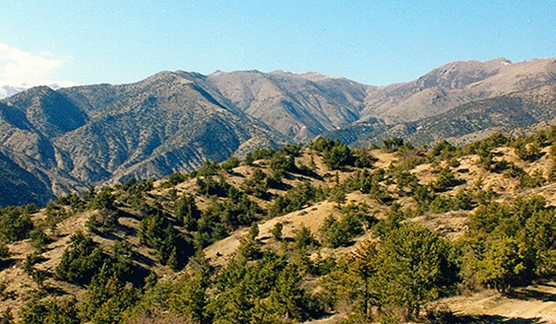 Մեղրիի ավագանին բավարարել է հանքարդյունաբերական ընկերության պահանջը