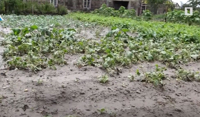 Շիրակի մարզի հինգ բնակավայր տուժել է կարկուտից և առատ տեղումներից