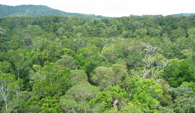 ԲԸՏՄ հիշեցումը տուգանքների մասին