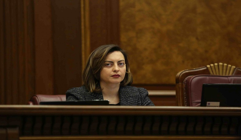 Լենա Նազարյանը նամակներ է ուղարկել չինացի և վրաց գործընկերներին՝ Ադրբեջանի իրականացրած ագրեսիայի վերաբերյալ