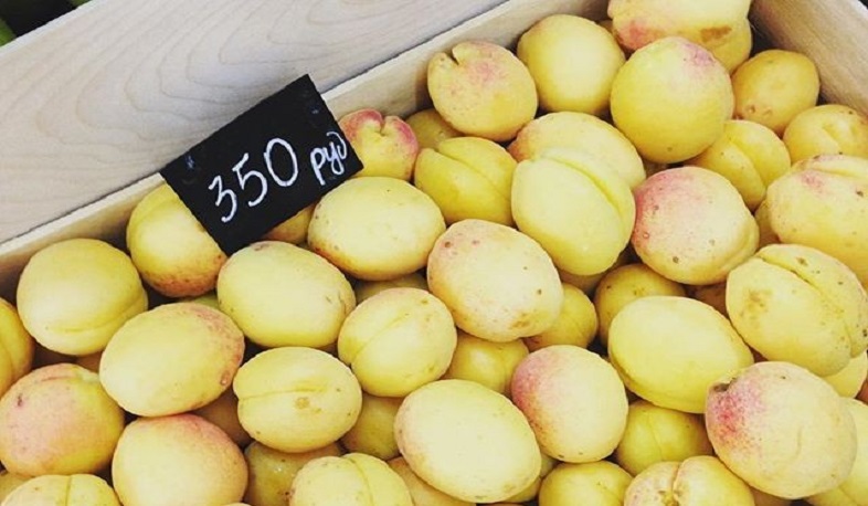 ՏՄՊՊՀ-ն՝ ռուսաստանյան գործընկեր կառույցի հետ հետամուտ կլինի տեղի ունեցածին․ Թունյան