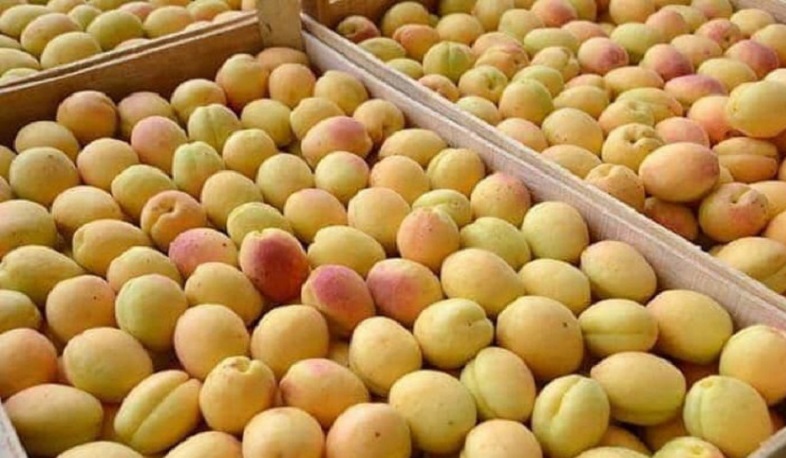 ՏՄՊՊՀ-ն դիմել է ՌԴ և ԵԱՏՄ գործընկերներին՝ վերջին օրերին հայկական մրգերի իրացումն արգելելու հարցով