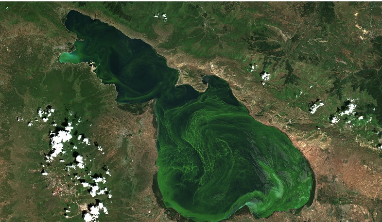 Ինչու է կանաչում Սևանա լիճը. ՇՄ նախարարության պարզաբանումը